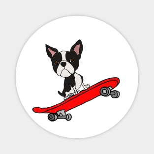 Boston Terrier On Skateboard Magnet